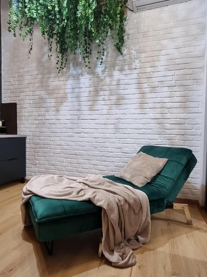 Casa Chiper - Attic Apartment With View Брашов Екстер'єр фото